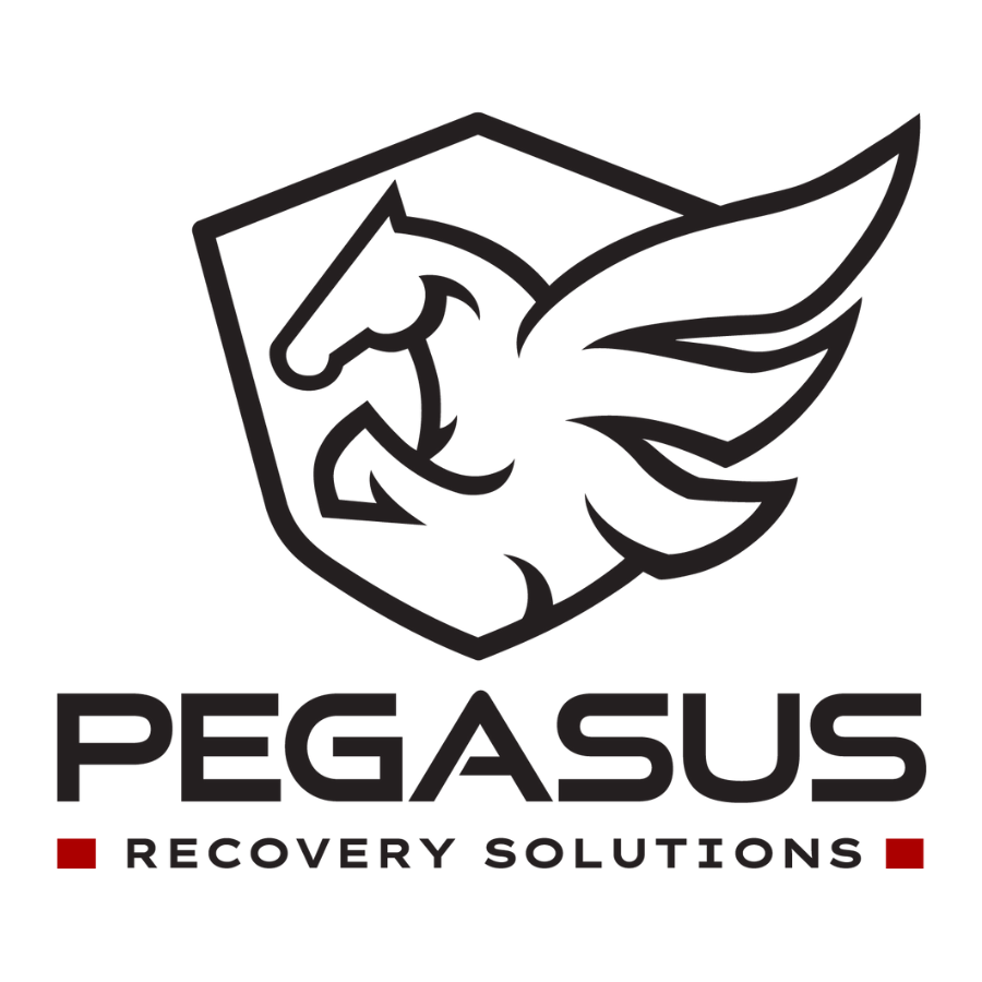 repo summit logos pegasus
